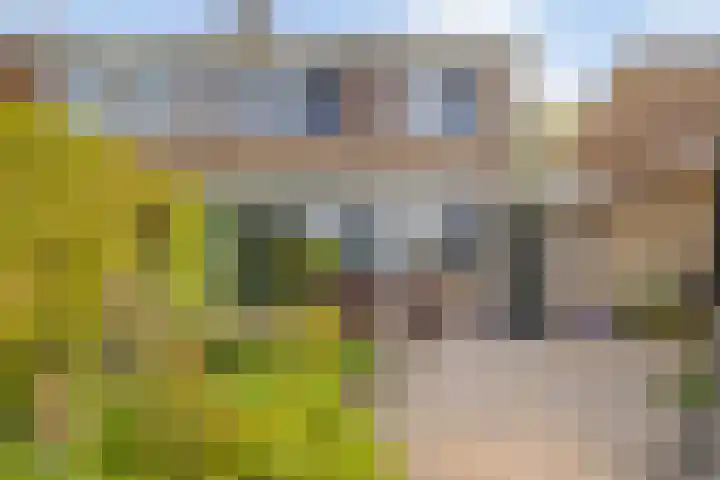 J F Kennedylaan 17 Uithuizen thumbnail 34