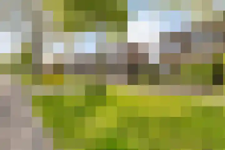 J F Kennedylaan 17 Uithuizen thumbnail 37