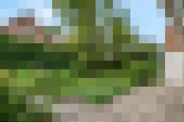 J F Kennedylaan 39 Bunnik thumbnail 26