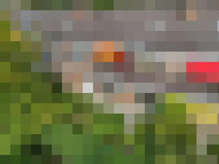 J F Kennedylaan 39 Bunnik thumbnail 30