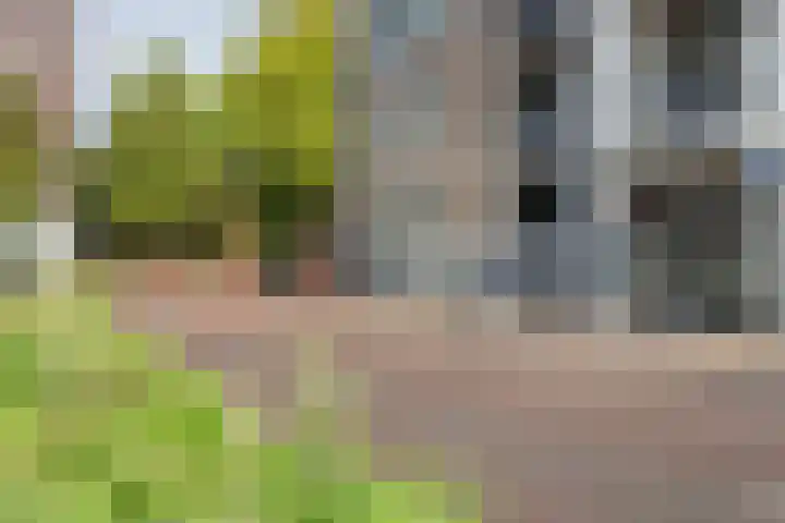 J.F. Kennedylaan 4 A Breda thumbnail 23