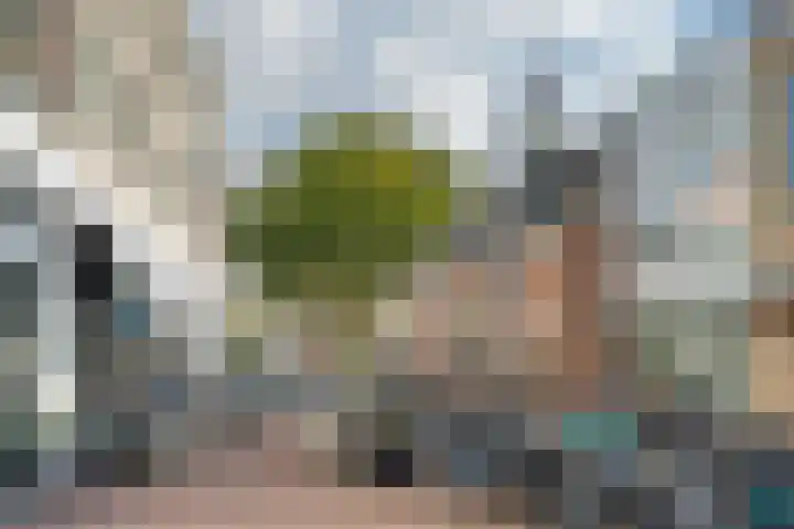 J.F. Kennedylaan 4 A Breda thumbnail 32