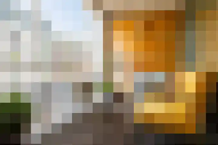 J.F. Kennedylaan 4 B Breda thumbnail 13