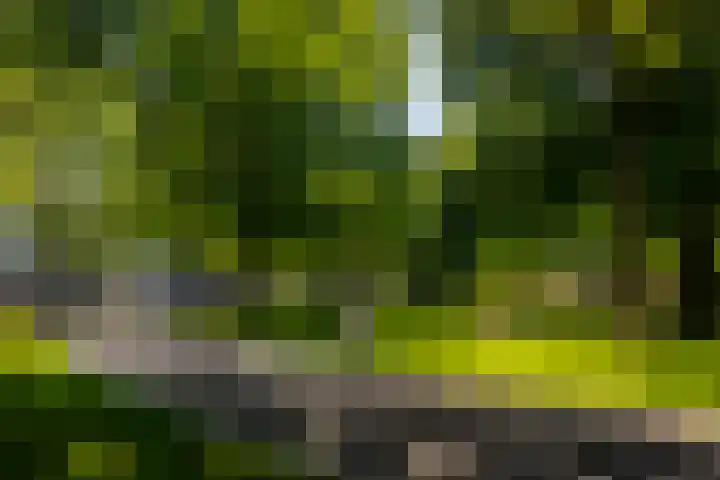 J.F. Kennedylaan 4 B Breda thumbnail 40
