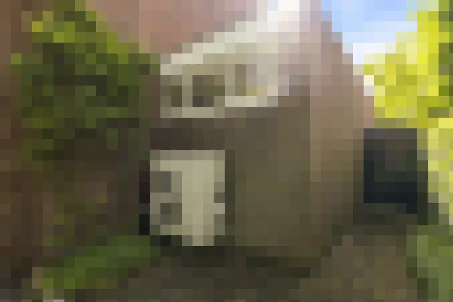 J F Kennedylaan 44 Doetinchem thumbnail 34