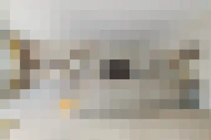 J.F. Kennedylaan 6 C Breda thumbnail 20