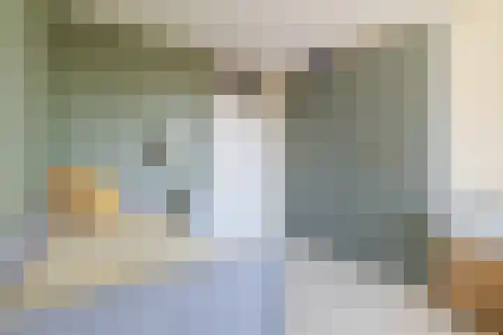 J.F. Kennedylaan 6 C Breda thumbnail 33