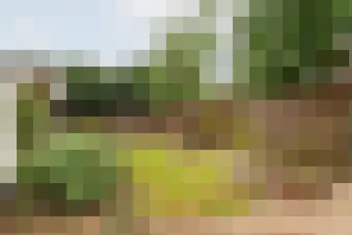 J F Kennedylaan 6 Doetinchem thumbnail 40