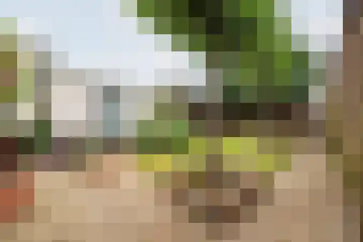 J F Kennedylaan 6 Doetinchem thumbnail 41