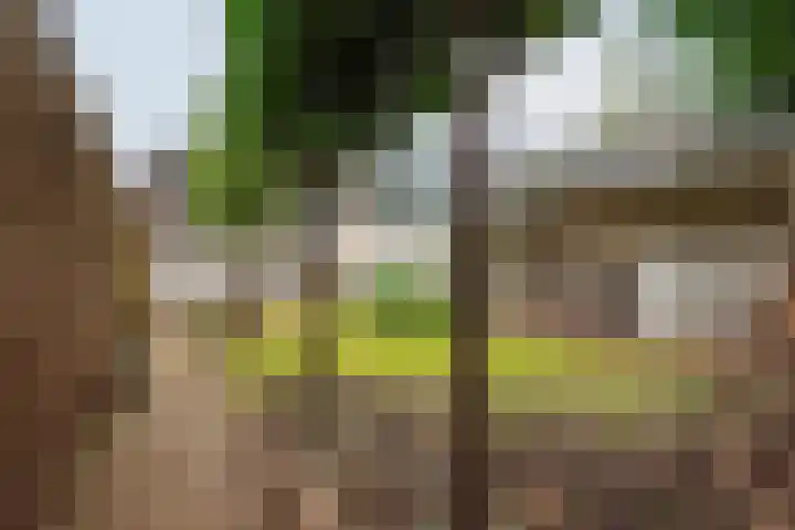 J F Kennedylaan 6 Doetinchem thumbnail 44