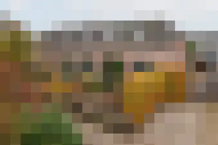 J F Kennedylaan 6 Doetinchem thumbnail 5