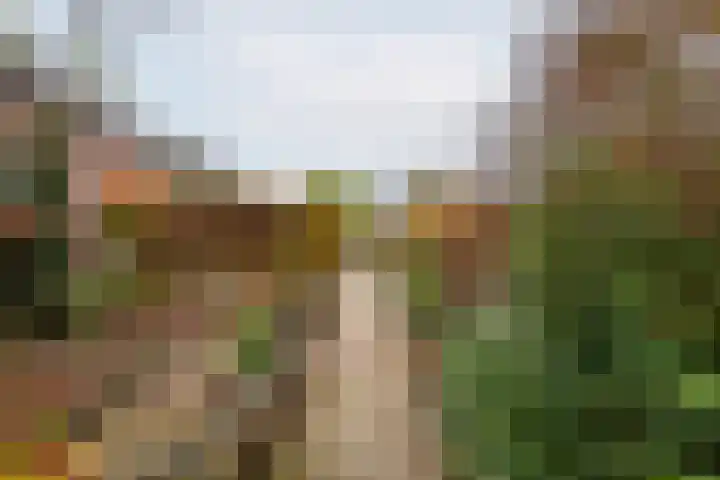 J F Kennedylaan 6 Doetinchem thumbnail 53