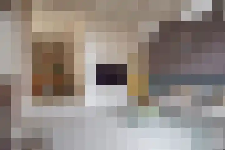 J F Kennedylaan 6 Doetinchem thumbnail 9