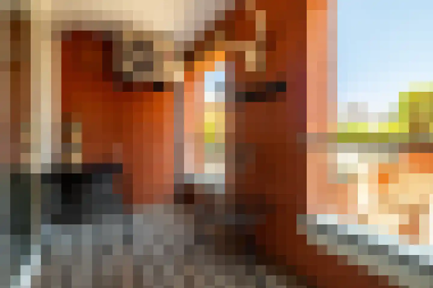 J.F. Kennedylaan 66 Breda thumbnail 13