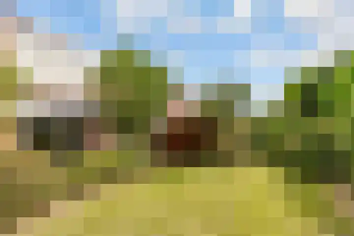 J F Kennedylaan 93 Bunnik thumbnail 10