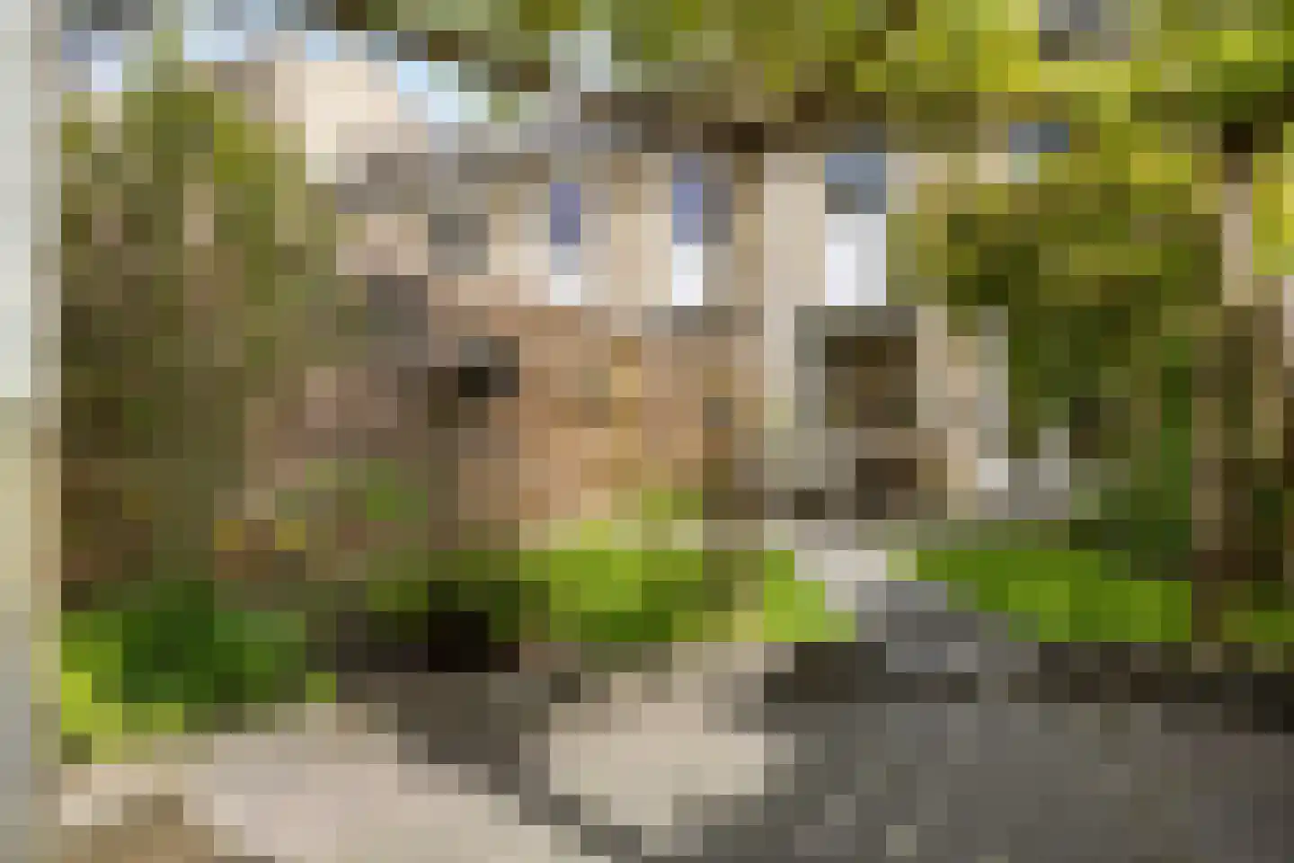 J.F. Kennedystraat 7 Groningen thumbnail 36