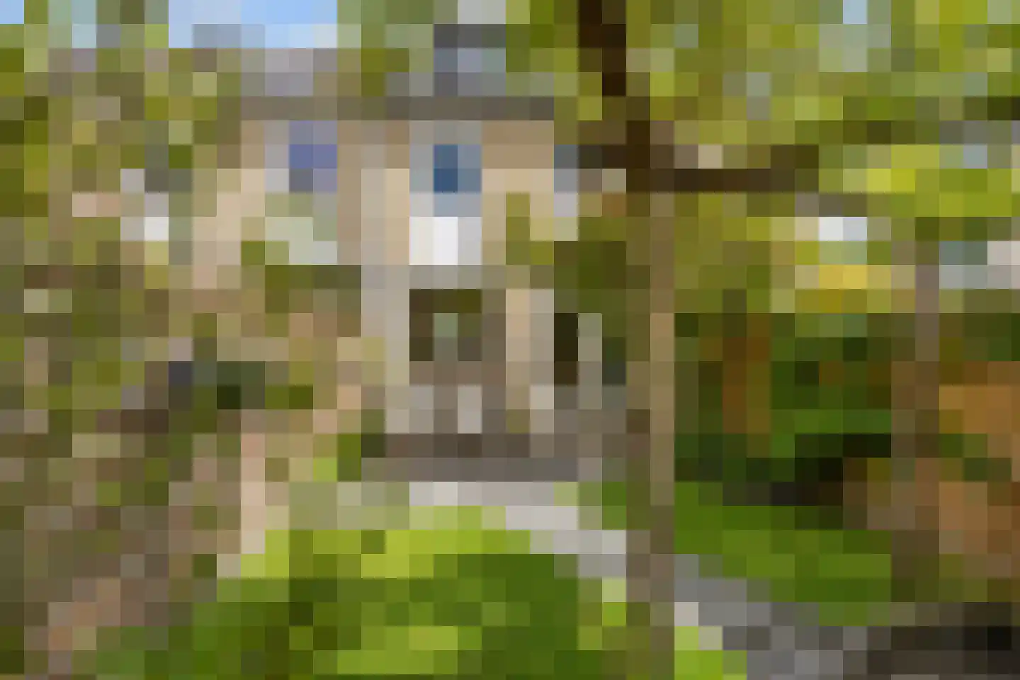 J.F. Kennedystraat 7 Groningen thumbnail 37
