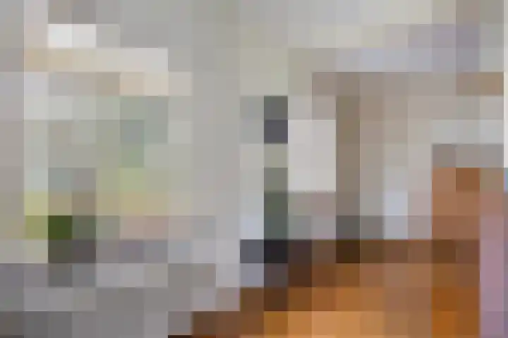 J.F. Oltmansstraat 12 Steenderen thumbnail 10
