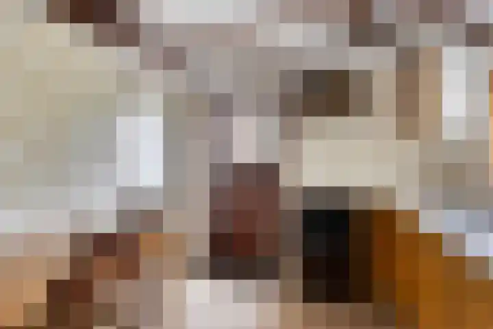 J.F. Oltmansstraat 12 Steenderen thumbnail 12