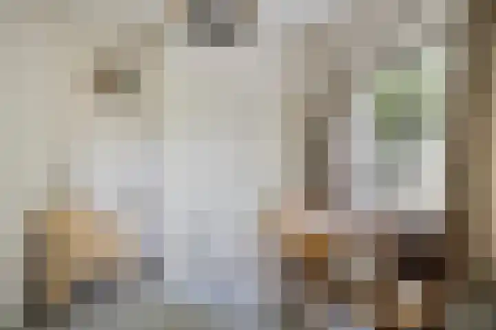 J.F. Oltmansstraat 12 Steenderen thumbnail 13