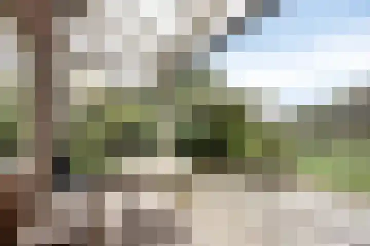 J.F. Oltmansstraat 12 Steenderen thumbnail 24