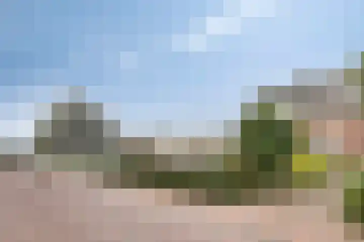 J.F. Oltmansstraat 12 Steenderen thumbnail 31