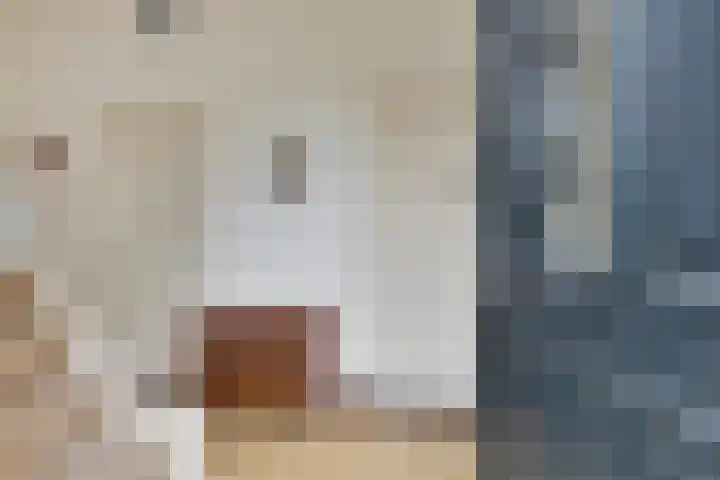 J.F. Oltmansstraat 12 Steenderen thumbnail 6