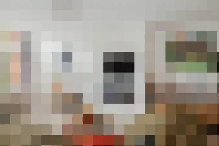 J.G. Bastiaansstraat 19 Deventer thumbnail 15