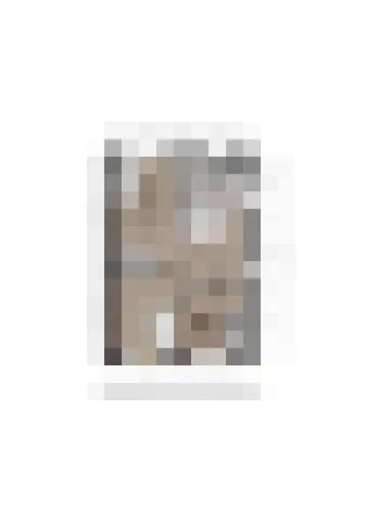 J.G. Bastiaansstraat 22 Deventer thumbnail 55