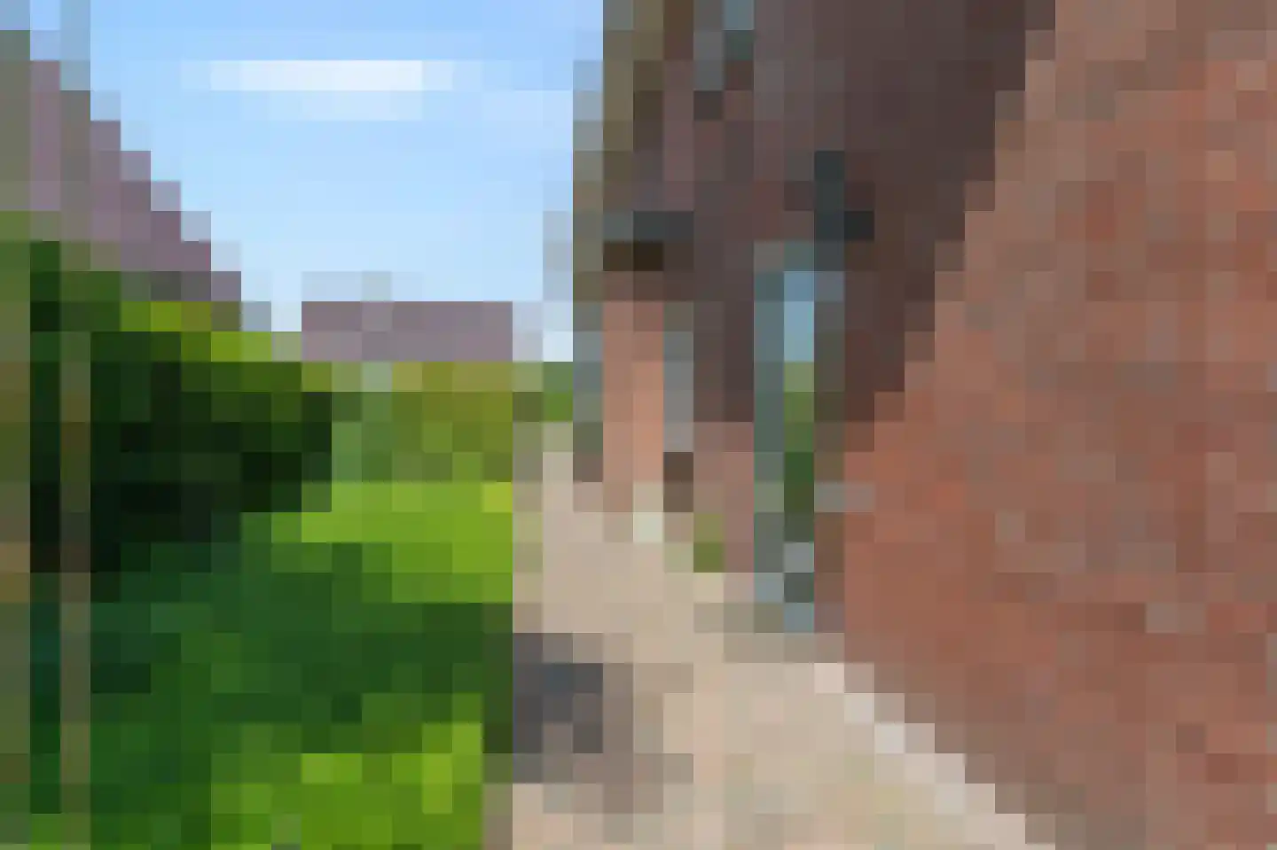 J G Heuthorststraat 14 Doetinchem thumbnail 40