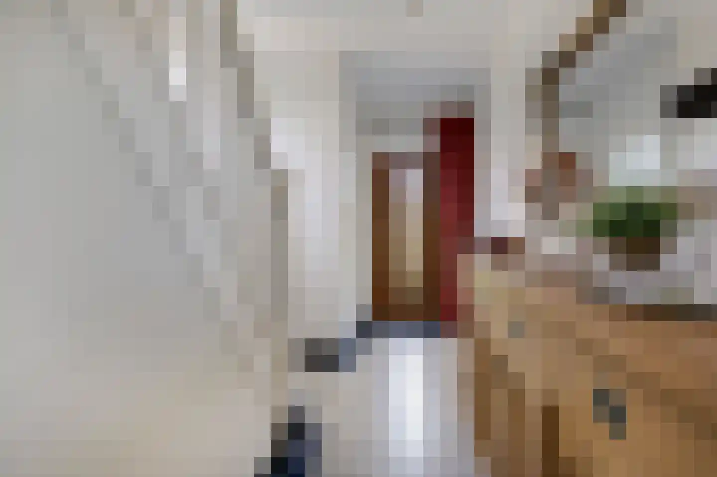 J G Heuthorststraat 14 Doetinchem thumbnail 8
