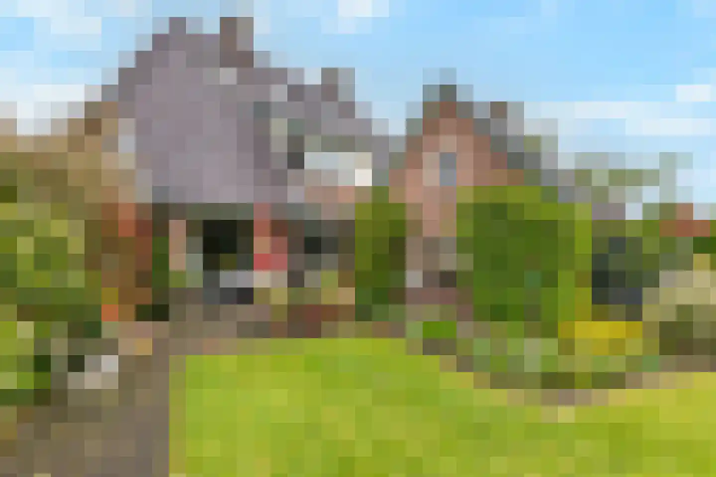 J G Heuthorststraat 25 Doetinchem thumbnail 28