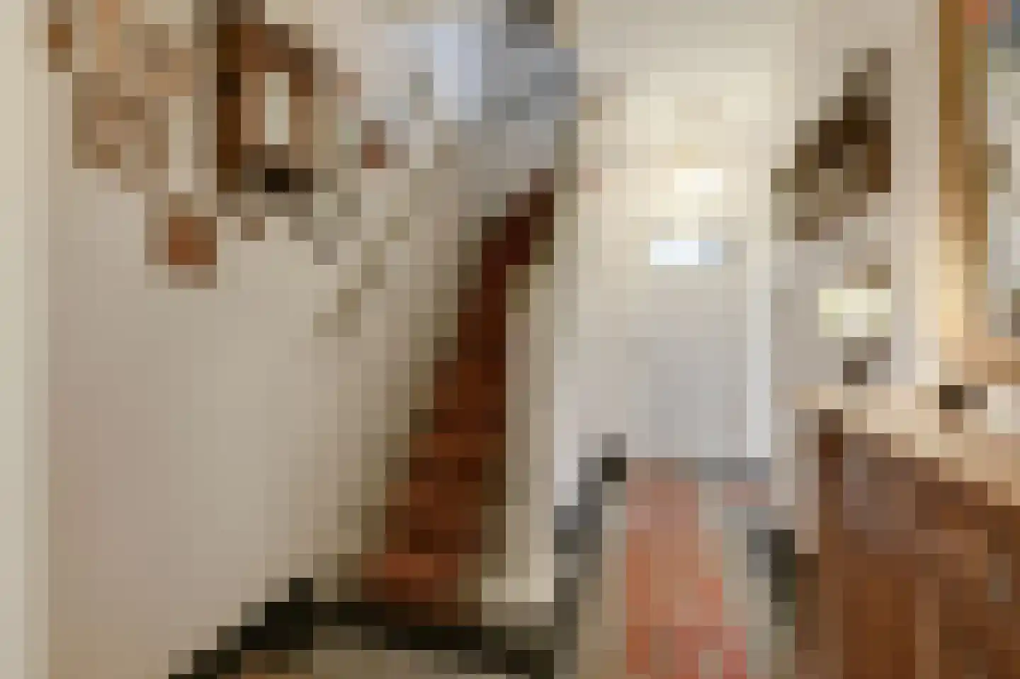 J G Heuthorststraat 25 Doetinchem thumbnail 36