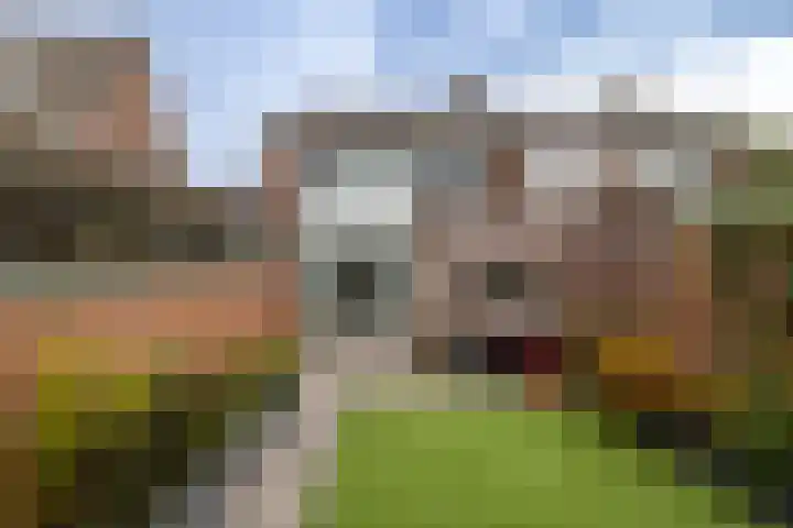 J G Heuthorststraat 64 Doetinchem thumbnail 21