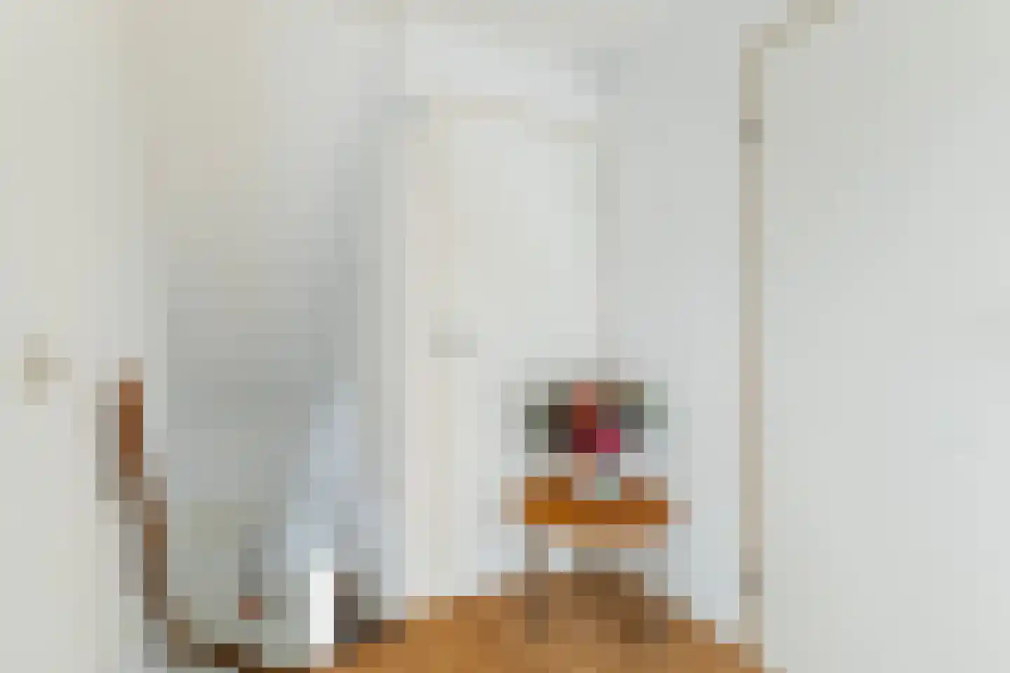 J.G.M. Demesstraat 17 Dokkum thumbnail 34