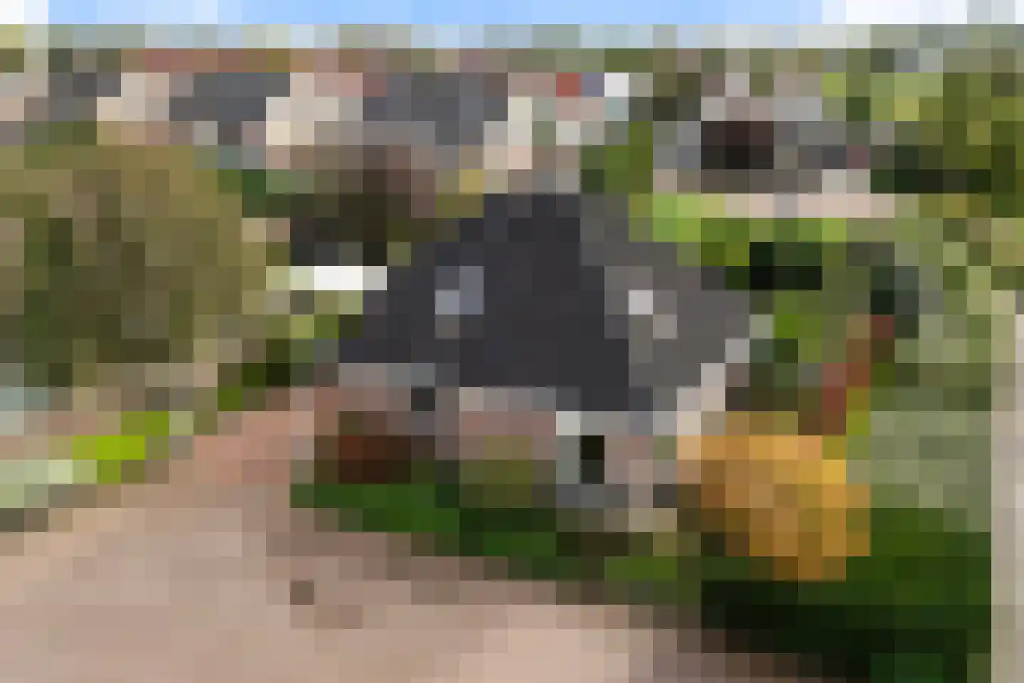 J.G.M. Demesstraat 17 Dokkum thumbnail 9
