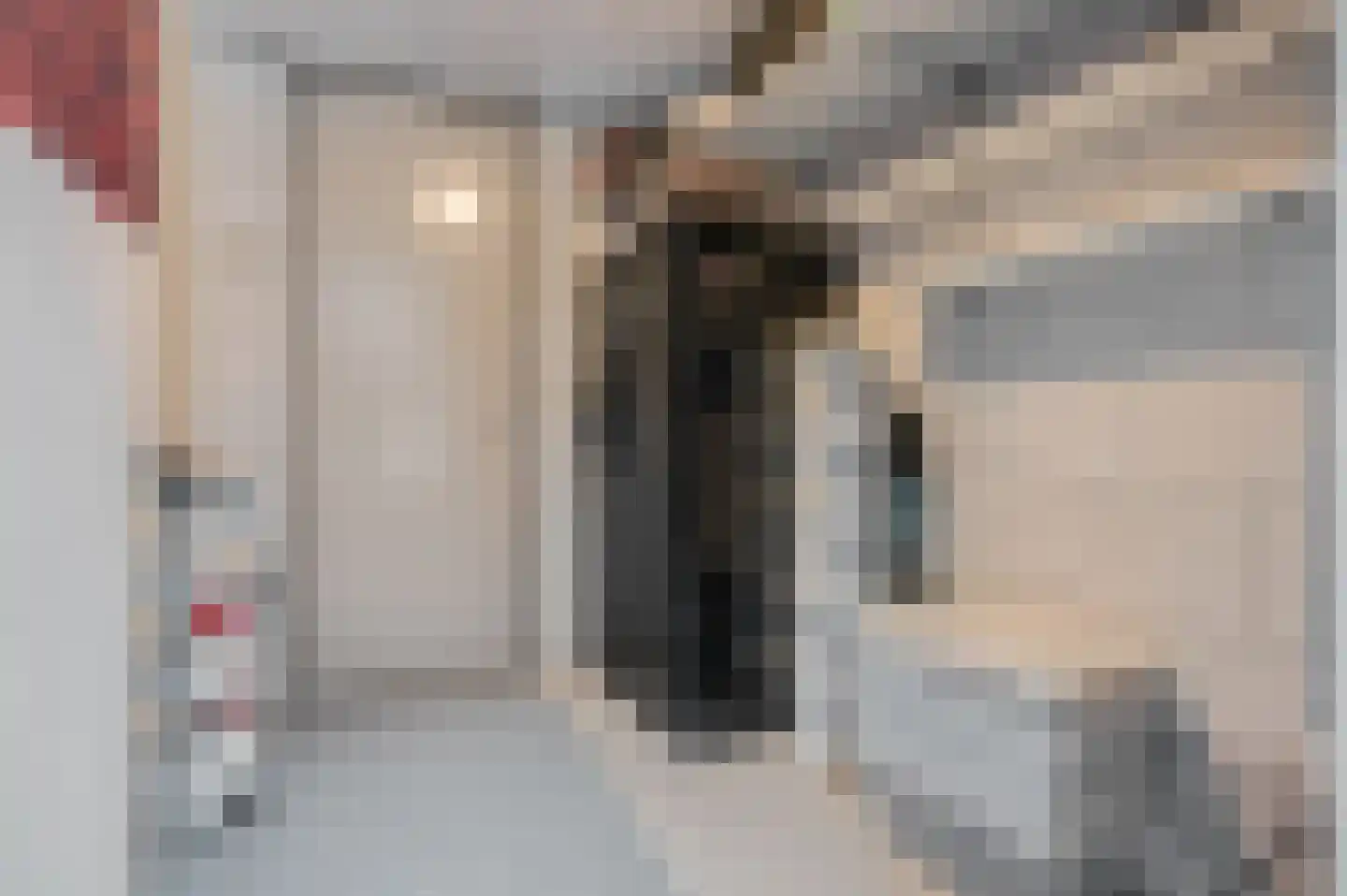 J.G. Sandbrinkstraat 18 Veenendaal thumbnail 27