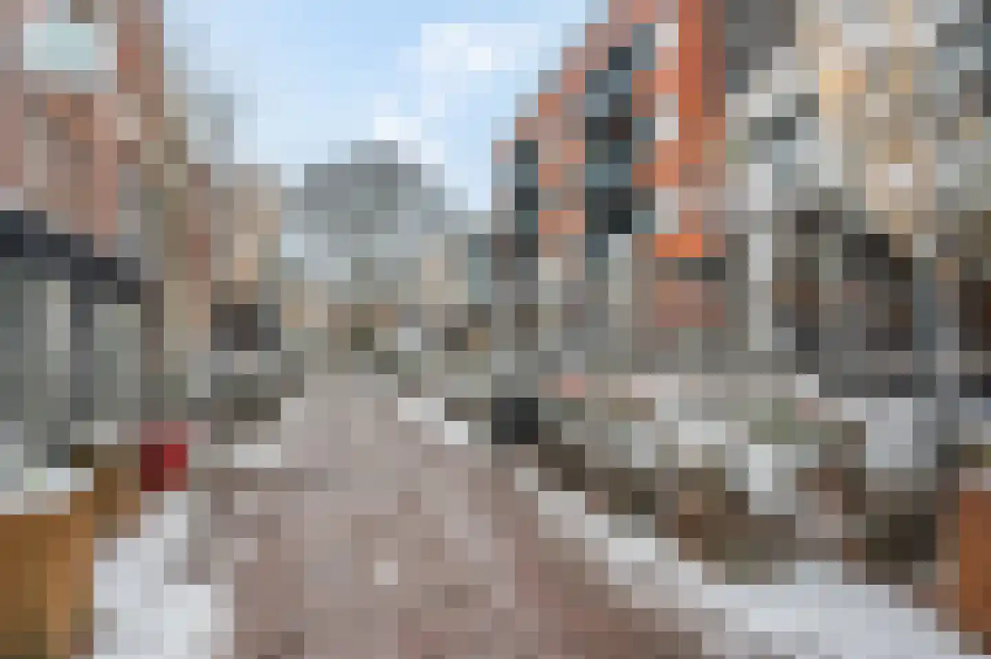 J.G. Sandbrinkstraat 18 Veenendaal thumbnail 34