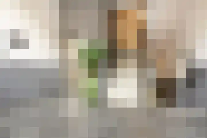 J.G. Sandbrinkstraat 84 Veenendaal thumbnail 32