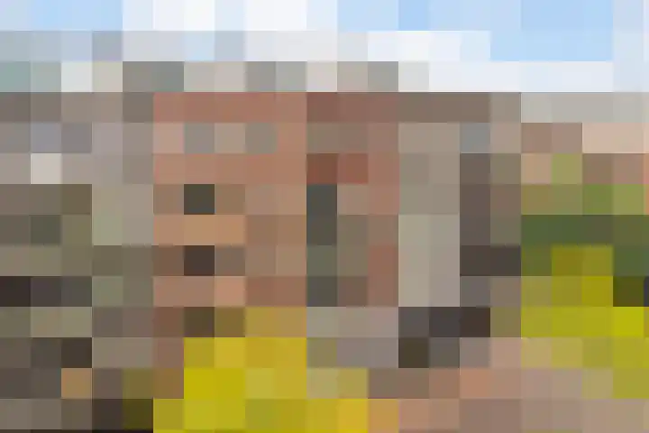 J.G. Sandbrinkstraat 84 Veenendaal thumbnail 35
