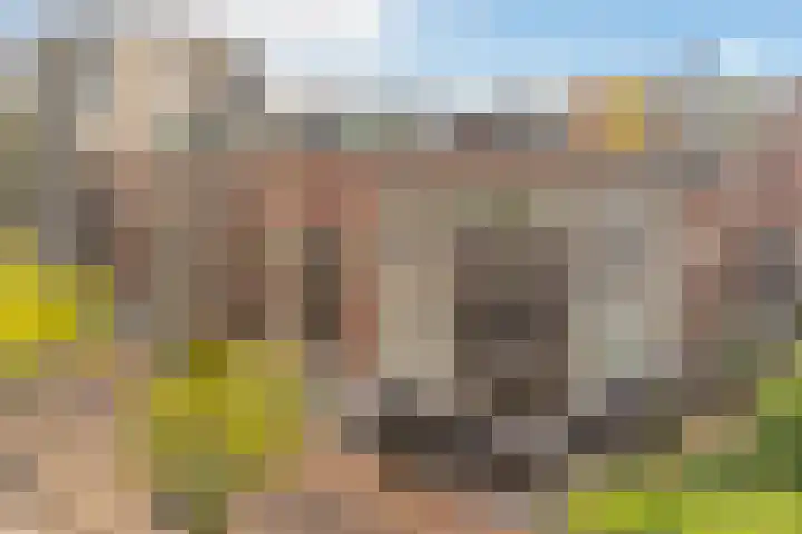 J.G. Sandbrinkstraat 84 Veenendaal thumbnail 37