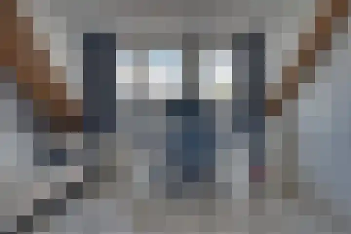J.G. Suurhoffstraat 21 Papendrecht thumbnail 33