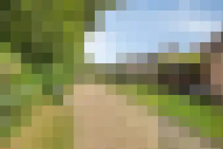 J.G. van Arkstraat 11 Heerde thumbnail 32