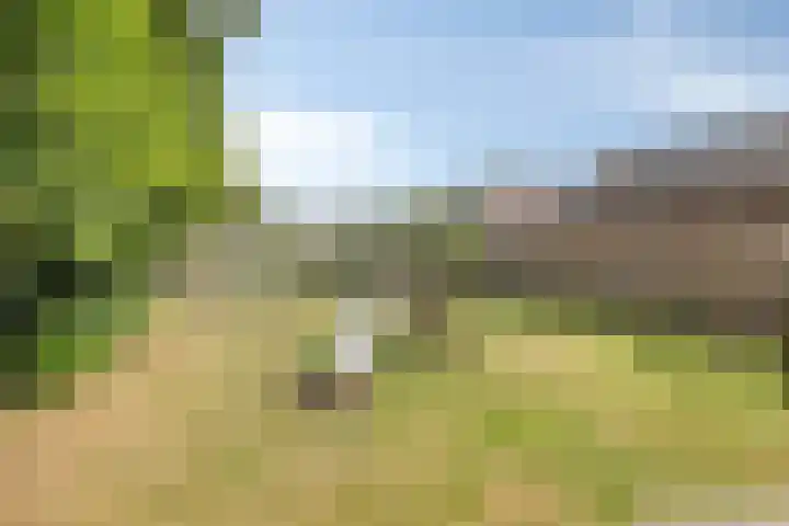 J.G. van Arkstraat 11 Heerde thumbnail 33