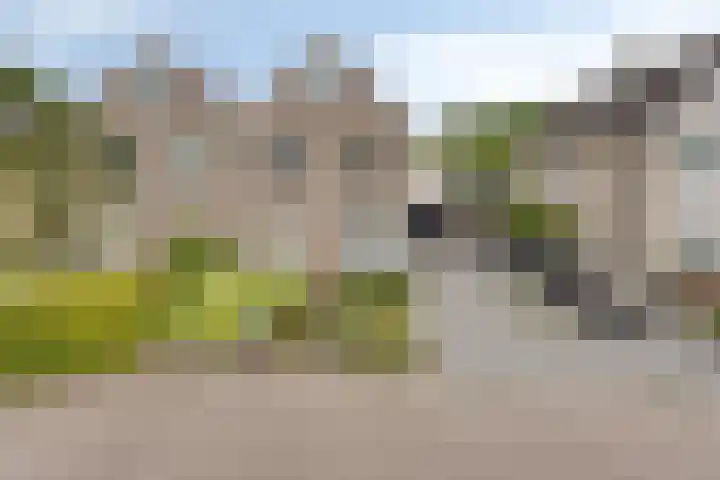 J.G. van Arkstraat 11 Heerde thumbnail 36
