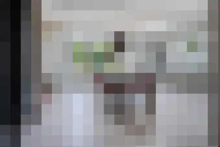 J.G. van Arkstraat 11 Heerde thumbnail 5