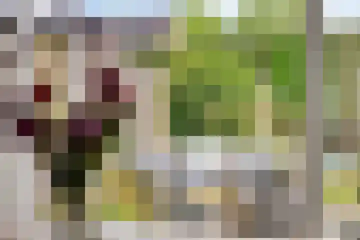 J.G. van Arkstraat 11 Heerde thumbnail 6