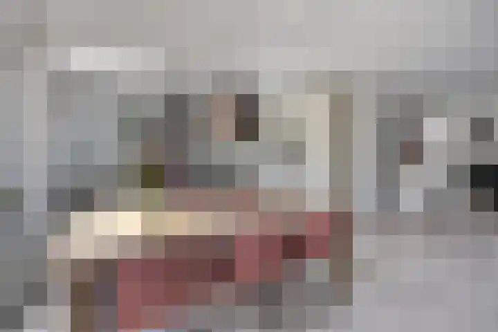 J.G. van Arkstraat 11 Heerde thumbnail 7