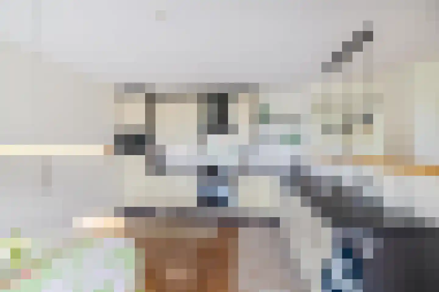 J. Groenstraat 6 Vierhuizen thumbnail 17