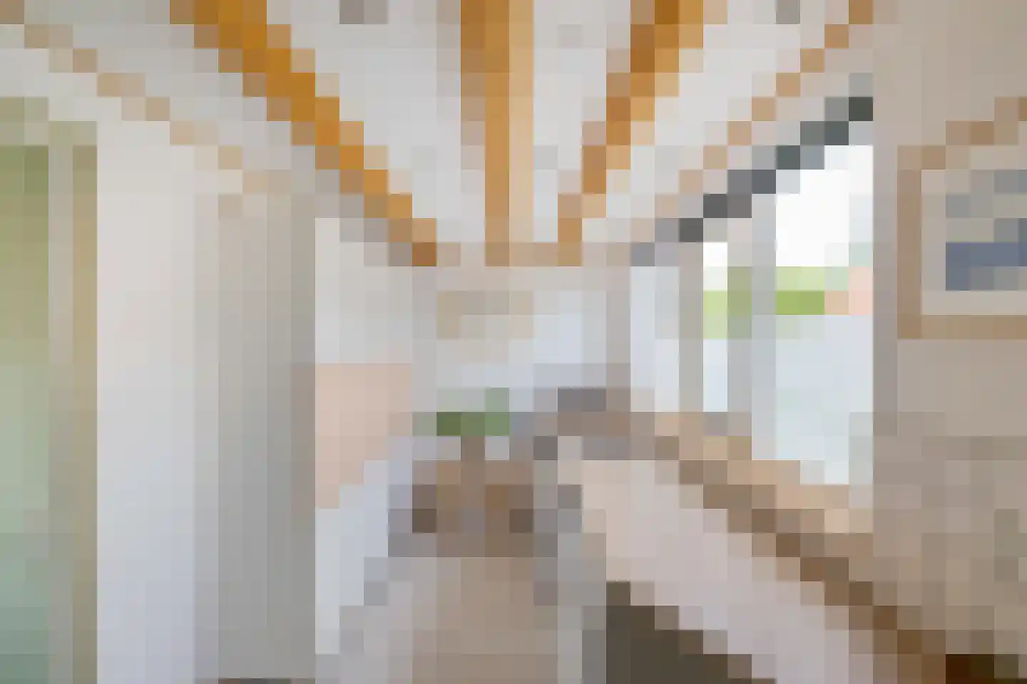 J. Groenstraat 6 Vierhuizen thumbnail 22